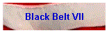 Black Belt VII